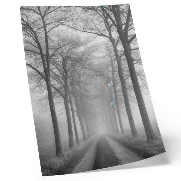 Wandposter Misty Tree Alley Modern Minimalisme