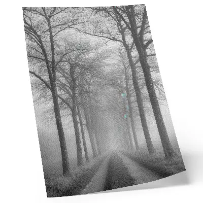 Wandposter met modern minimalisme van een mistig bomenlaantje