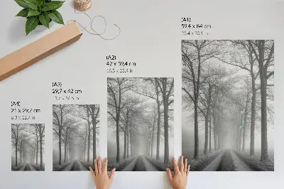 Wandposter met modern minimalisme van een mistig bomenlaantje