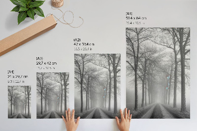 Wandposter Misty Tree Alley Modern Minimalisme