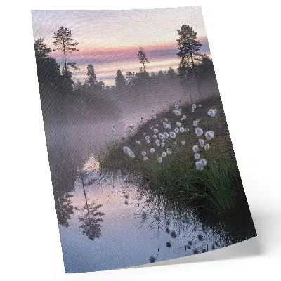 Decoratieve poster rustige ochtend aan het meer in de mist