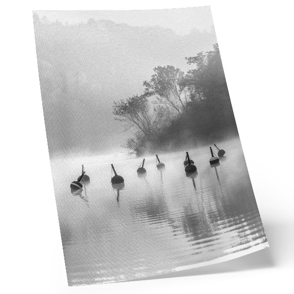 Poster Zwart-wit landschap met boeien en mist