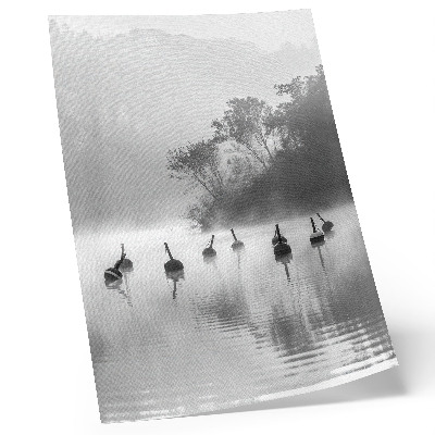 Poster Zwart-wit landschap met boeien en mist
