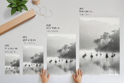 Poster Zwart-wit landschap met boeien en mist