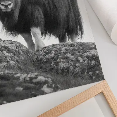 Poster zwart-wit dieren in de ruwe natuur met een elegante uitstraling