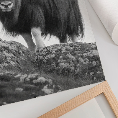 Poster Zwart-wit dieren, ruwe natuur, elegantie