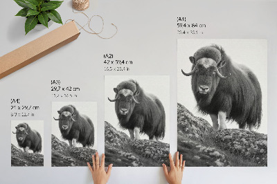 Poster Zwart-wit dieren, ruwe natuur, elegantie