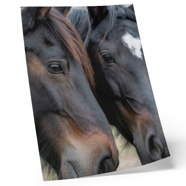 Wandposter Twee paarden in nauw contact, vol elegantie.