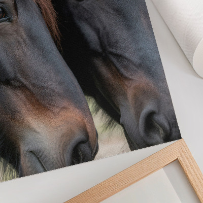 Wandposter Twee paarden in nauw contact, vol elegantie.