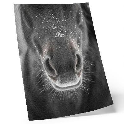 Poster Fotorealistische close-up van een paardenhoofd in de sneeuw