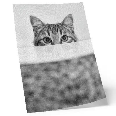 Wandposter kat achter de oppervlakte in zwart-wit minimalisme
