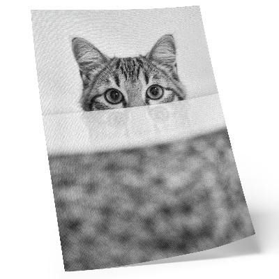 Wandposter Kat achter de oppervlakte zwart-wit minimalisme
