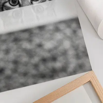Wandposter kat achter de oppervlakte in zwart-wit minimalisme