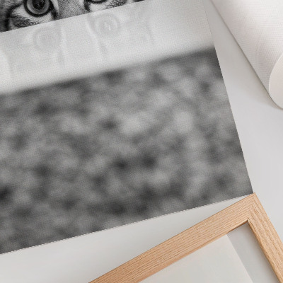 Wandposter Kat achter de oppervlakte zwart-wit minimalisme