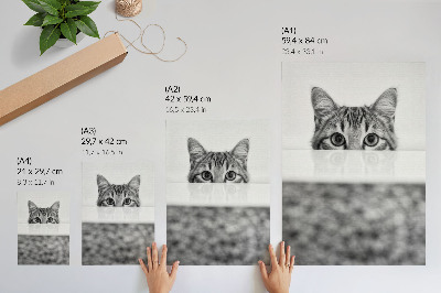 Wandposter Kat achter de oppervlakte zwart-wit minimalisme