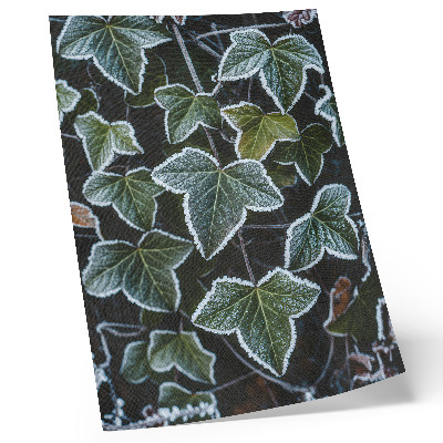Decoratieve poster Groene bladeren met witte rijp aan de randen.