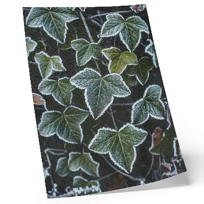 Decoratieve poster met groene bladeren en witte rijp aan de randen