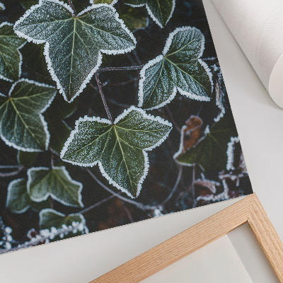 Decoratieve poster Groene bladeren met witte rijp aan de randen.