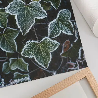 Decoratieve poster met groene bladeren en witte rijp aan de randen