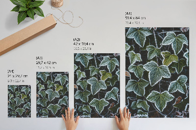 Decoratieve poster Groene bladeren met witte rijp aan de randen.