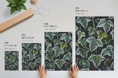 Decoratieve poster met groene bladeren en witte rijp aan de randen