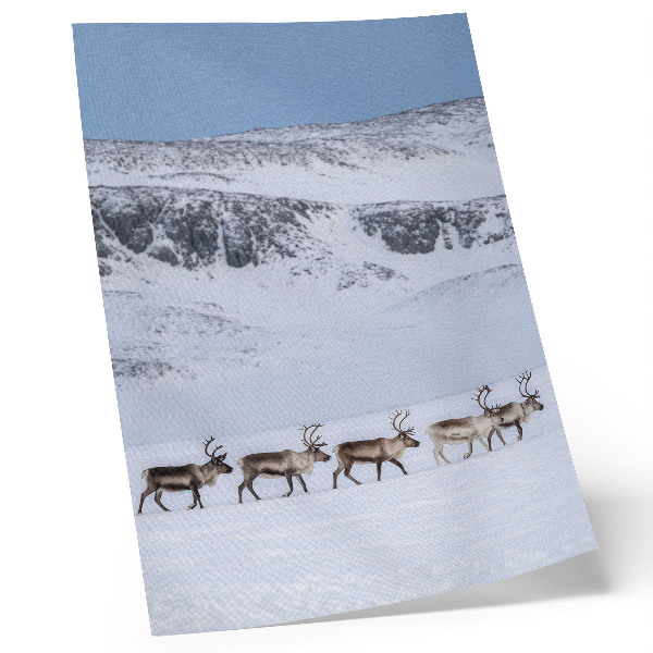 Decoratieve poster Rendieren tegen de achtergrond van een winters berglandschap.