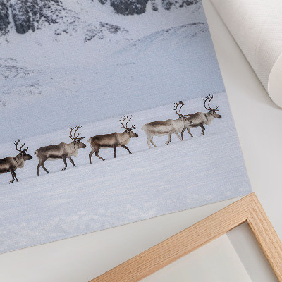 Decoratieve poster Rendieren tegen de achtergrond van een winters berglandschap.