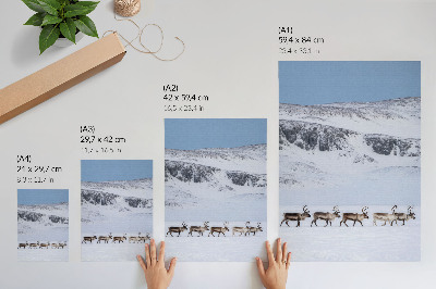 Decoratieve poster Rendieren tegen de achtergrond van een winters berglandschap.