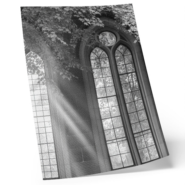 Wandposter Oude gotische ramen, licht, bladeren, mysterie