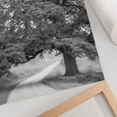 Poster monumentale boom in een vredig landschap