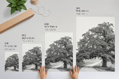 Poster Monumentale boom, vredig landschap verspreid