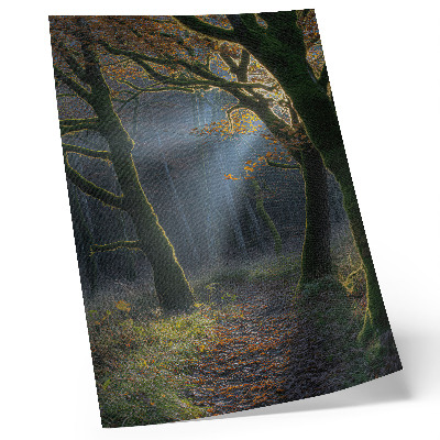 Decoratieve poster Magisch bos, herfstlicht, vredige sfeer
