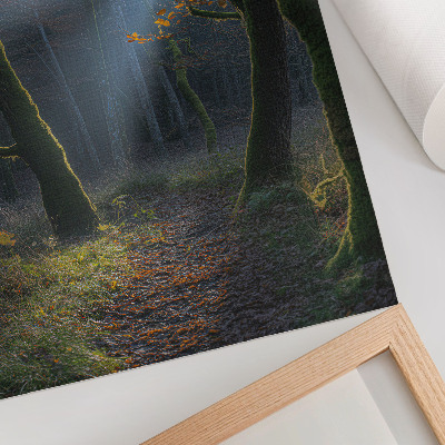 Decoratieve poster Magisch bos, herfstlicht, vredige sfeer