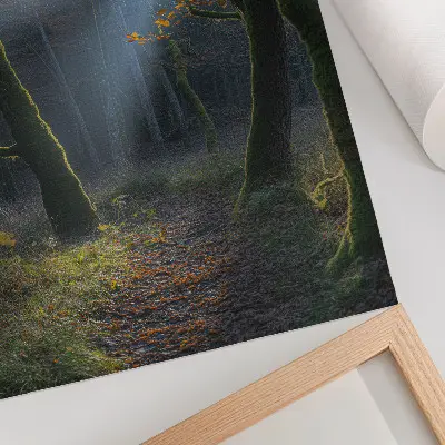 Decoratieve poster met een magisch bos in herfstlicht voor een vredige sfeer