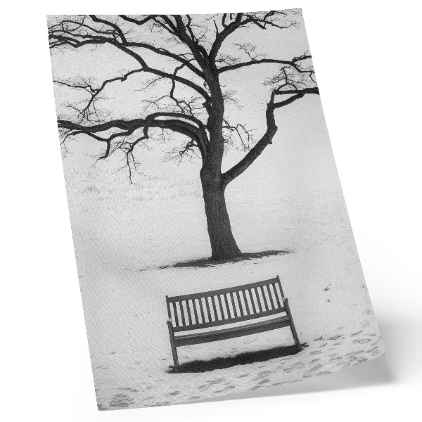 Decoratieve poster Minimalistisch landschap met een boom en een bankje.