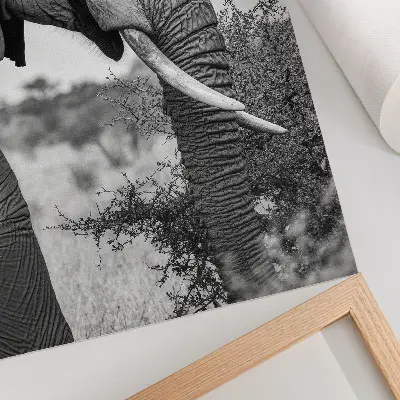 Decoratieve poster olifant van dichtbij met een harmonie van texturen