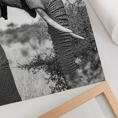 Decoratieve poster Olifant van dichtbij, natuurlijke schoonheid, harmonie van texturen