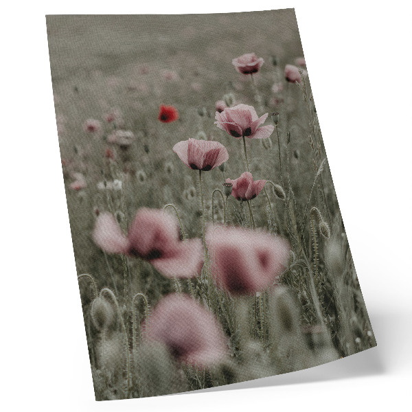 Wandposter Pastelkleurige klaprozen, romantische sfeer, subtiele bloemen
