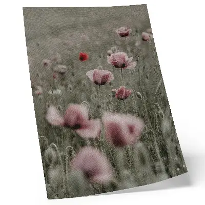 Wandposter met pastelkleurige klaprozen in een romantische sfeer met subtiele bloemen