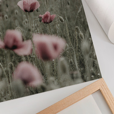 Wandposter Pastelkleurige klaprozen, romantische sfeer, subtiele bloemen