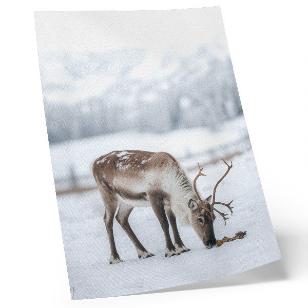 Decoratieve poster Rendieren in de sneeuw, natuur, rust, elegantie
