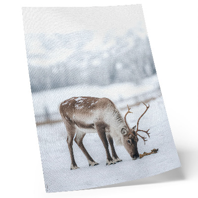 Decoratieve poster Rendieren in de sneeuw, natuur, rust, elegantie