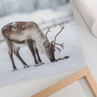 Decoratieve poster met rendieren in de sneeuw voor een rustige en elegante uitstraling