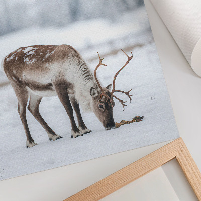 Decoratieve poster Rendieren in de sneeuw, natuur, rust, elegantie