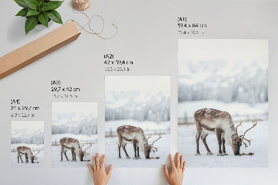 Decoratieve poster Rendieren in de sneeuw, natuur, rust, elegantie