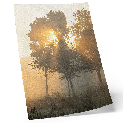 Wandposter Mistige ochtendgloed, warm licht, bomen, inspiratie