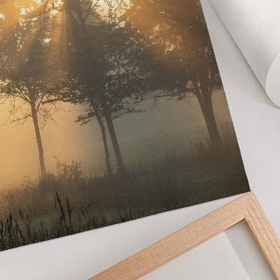 Wandposter Mistige ochtendgloed, warm licht, bomen, inspiratie