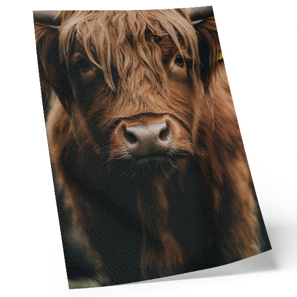 Wandposter Dierenportret met vacht in rustieke sfeer, detail