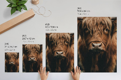 Wandposter Dierenportret met vacht in rustieke sfeer, detail