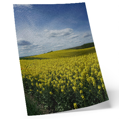 Poster Gele velden die afsteken tegen de blauwe lucht.